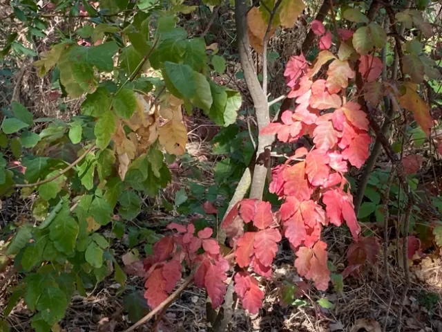 photo by Michelle Davis