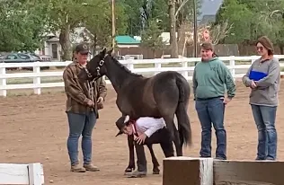 Mason walks under his horse.