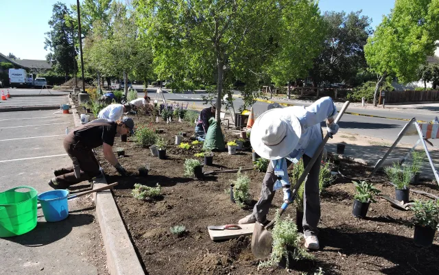 Planting The Native Garden Summer 22