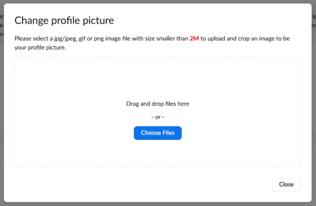 Change Zoom profile image using drag and drop