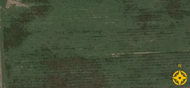 A satellite image of another irrigated pasture also shows dark spots, suggesting this pasture also has significant weed populations.