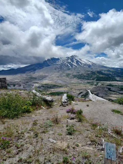 Mount St. Helen' (photos by Jenni Dodini)