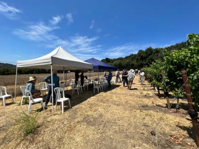 People standing and talking underneath a large white tent, next to a vineyard.