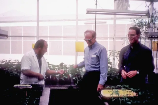 Three guys in a greenhouse looking at seedlings.