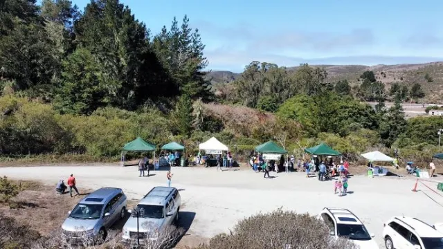 Drone Perspective by San Mateo Park Club 4-H'er Sarah H.