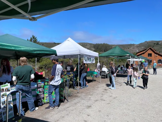4-H Clubs and Summer Camp were represented at Open House