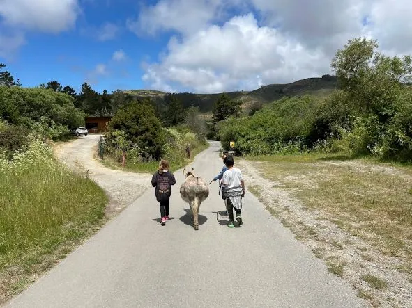 Elkus Summer Campers and Sassy the Donkey