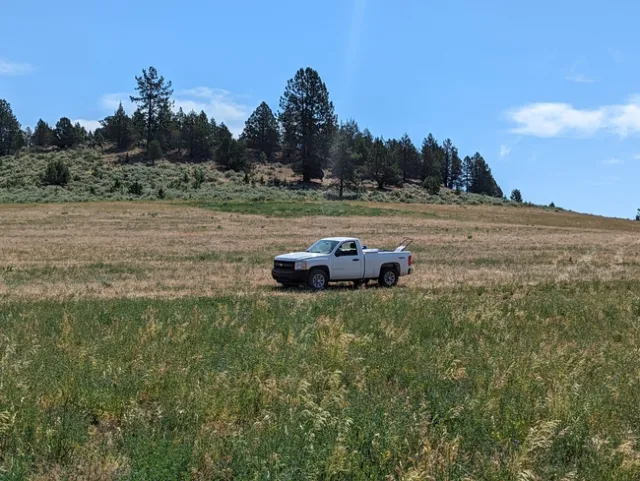 PXL 20220712 175527104