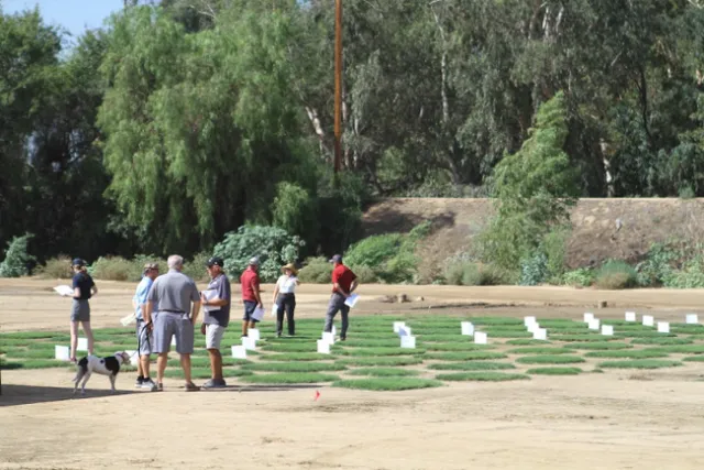 People, many wearing shorts, look at squares of grass growing outdoors.