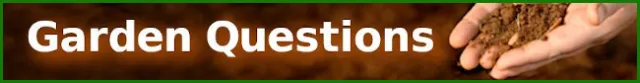 Please Click Here!