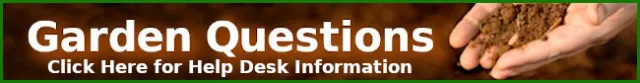 Please Click Here!