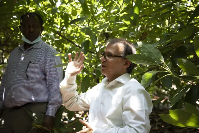 Ali Montezar in Avocado Grove