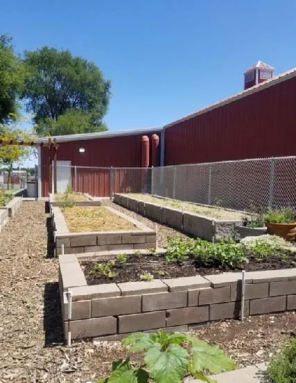 RivertownRaisedBeds02