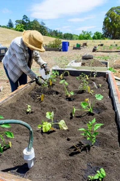 MakeADentInTheUniverse02