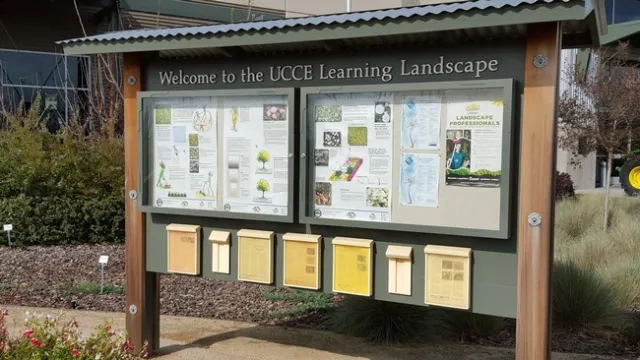 12916161 10154179378683313 2295787547853816342 o