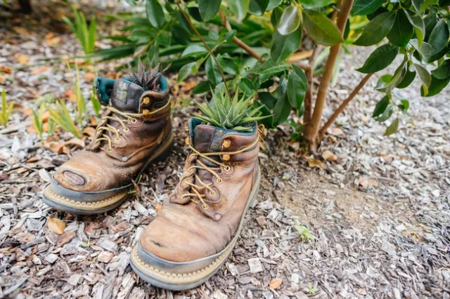 Boots in the dirt in front of a garden.