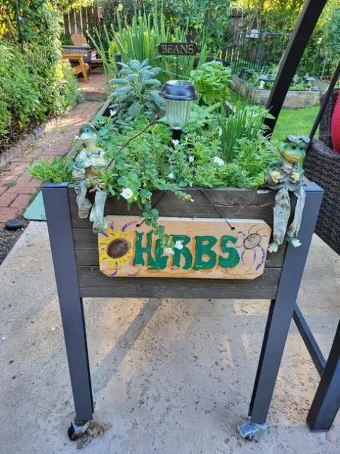 photos by Paula Pashby