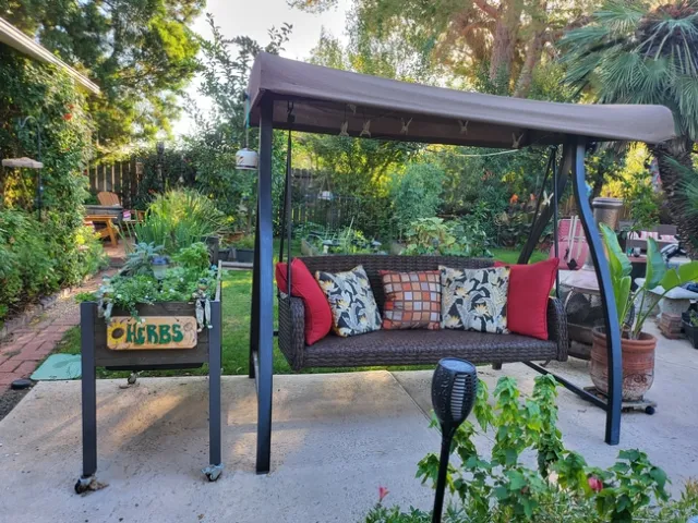 Herb Garden2 - 10-2022 - Paula Pashby