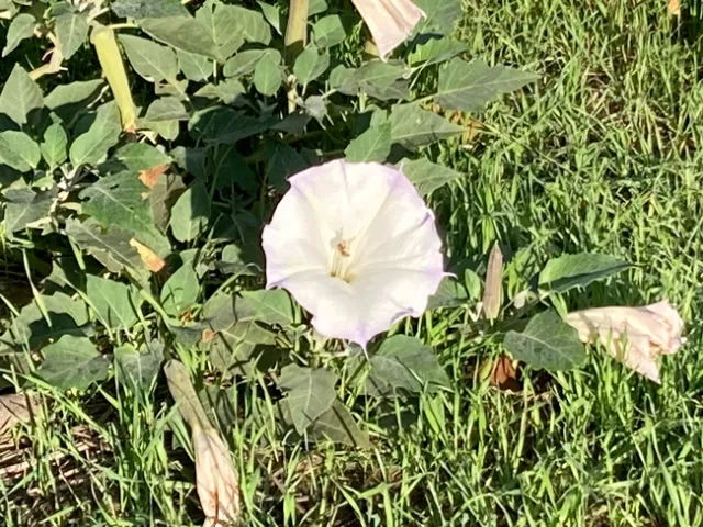 photos by Michelle Davis