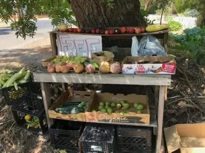 An example of a neighborhood food exchange table, Butte County Local Food Network