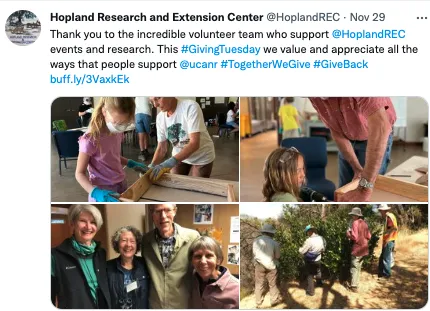 A collage of photos. 