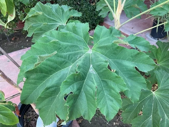 photos by Michelle Davis