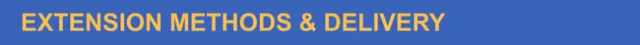 Extension Methods & Delivery