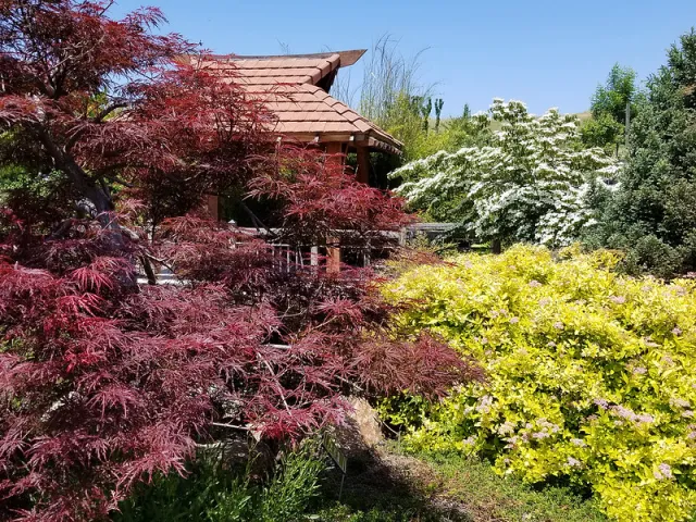 japan garden red