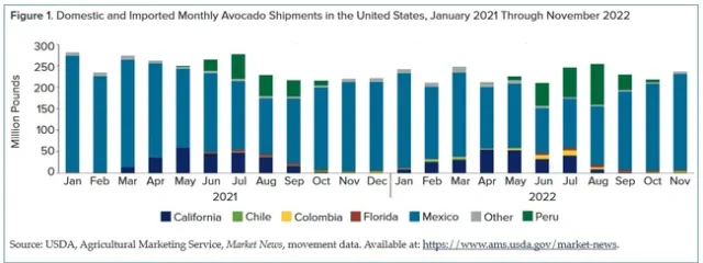Avo shoipments to US