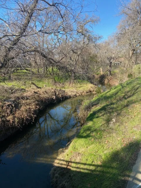 photo by Mike Gunther