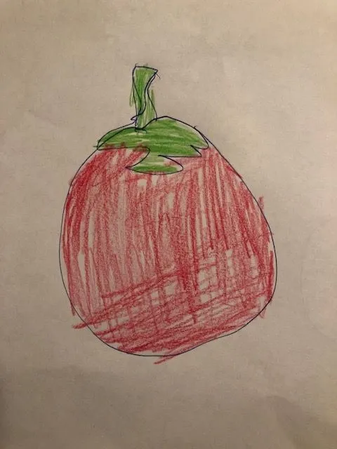 A child's drawing of a tomato fruit