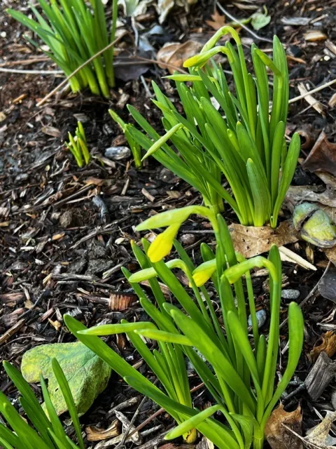 photos by Jennifer Baumbach