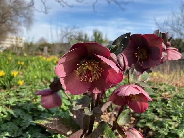 photo by Michelle Davis