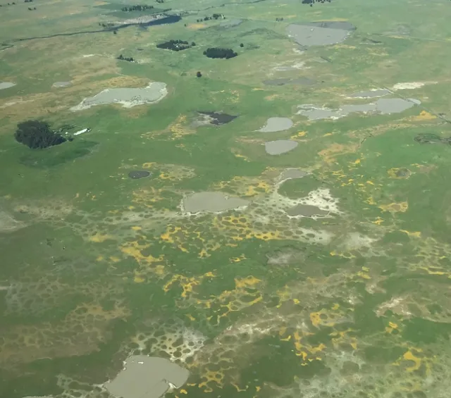 Vernal Pools. Photos by Karen Metz
