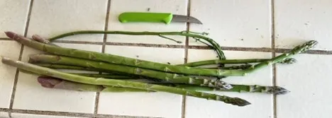 cut asparagus