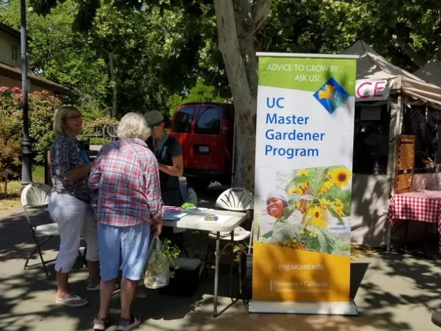 UC ANR Master gardener table at the Davis Farmers' market.