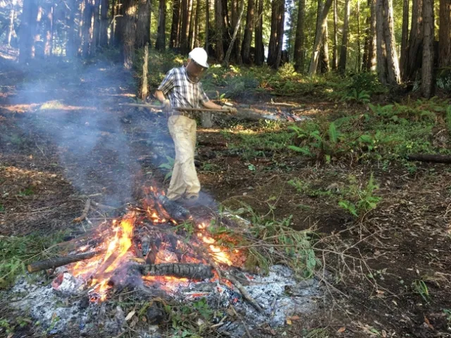 Sonoma County forest landowner Craig Hayes piles slash to burn, a typical forest management activity. Photo credit: Craig Hayes.
