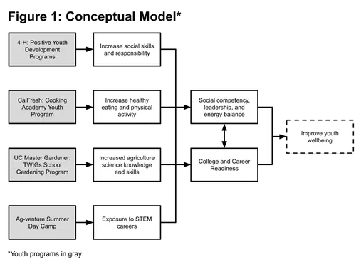 shf conceptual model