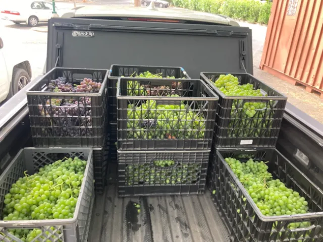 OurGarden-02_GregLetts