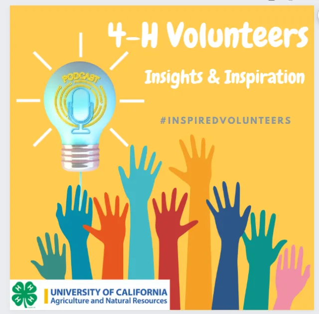 Insights and Inspiration