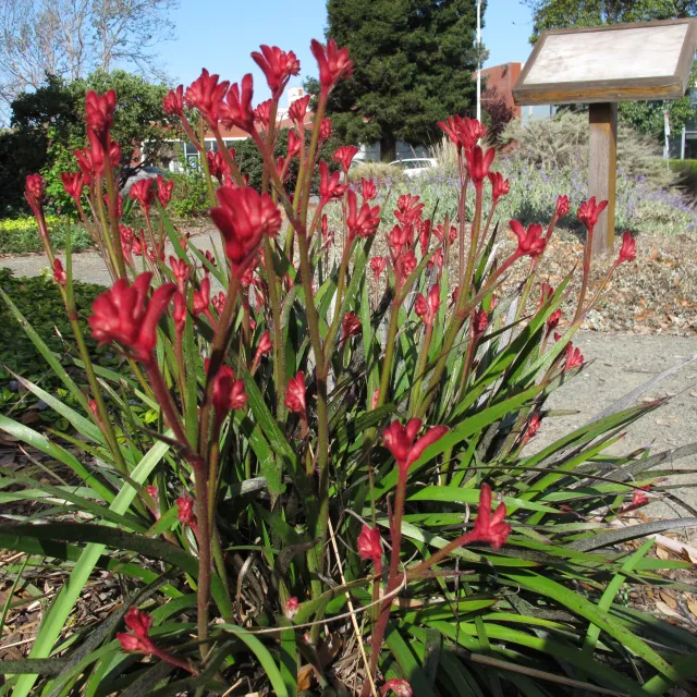 Photo courtesy of Liv Imset