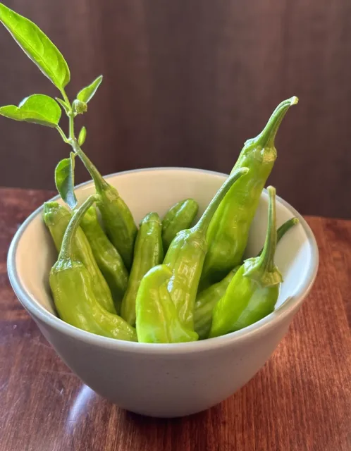 photos by Erin Mahaney