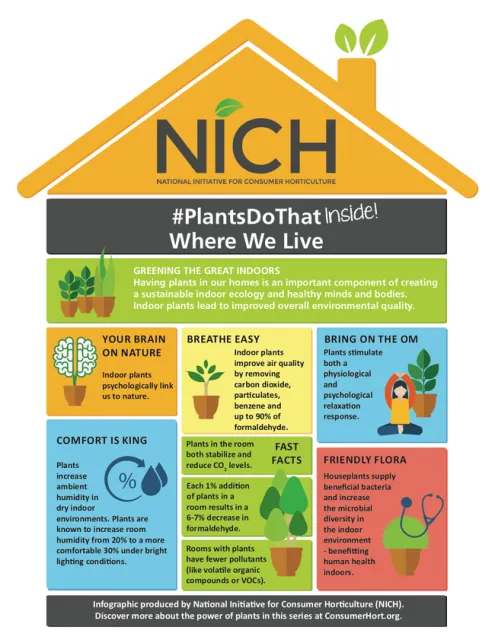 PlantsDoThat-Indoors-WhereWeLive-Front