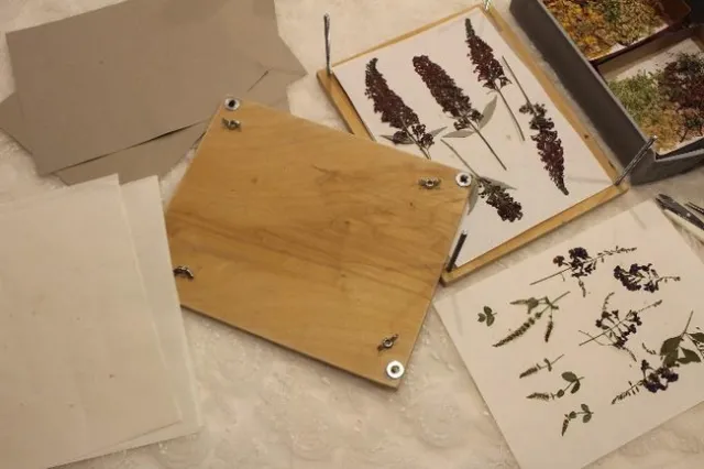 2023 Fall FromtheGarden01