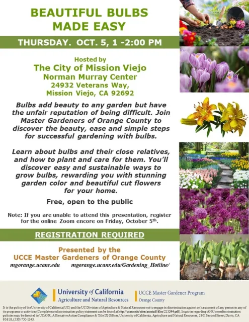 Busting the Myth: Easy and Beautiful Bulb Gardening Unveiled!