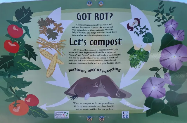 Got Rot?