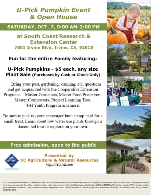 Family Fun Awaits: U-Pick Pumpkins, Plant Sale, and More!