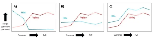 Three x-y plots demonstrating hypothetical results of the experiment. The first plot shows the hypothesized results (valley counts go up as hill counts go down); the second plot show valley counts going up while hill counts stay constant over time; the third plot shows the hill counts going up in parallel to the valley counts