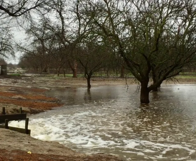 Recarga de agua subterr&aacute;nea en una huerta de almendras.
