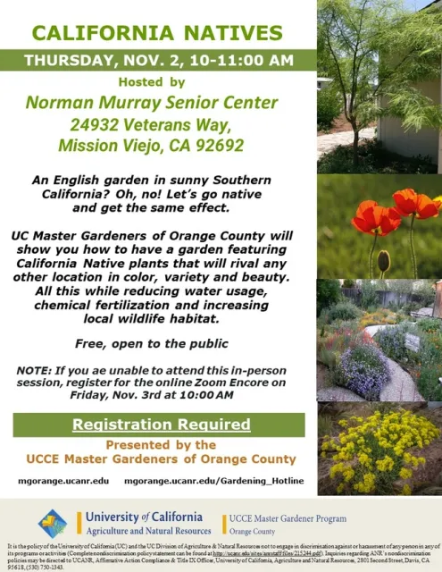 Blossom with Nature: Cultivate a Stunning Native Plant Garden!